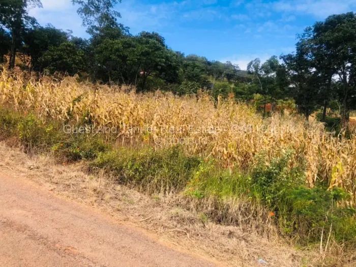 Residential Stand for Sale in Carrick Creagh Estate, Harare