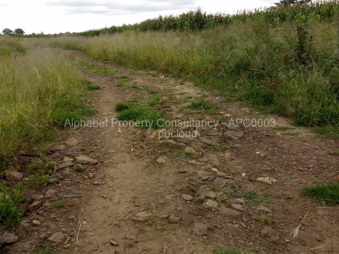 Residential Stand for Sale in Budiriro, Harare