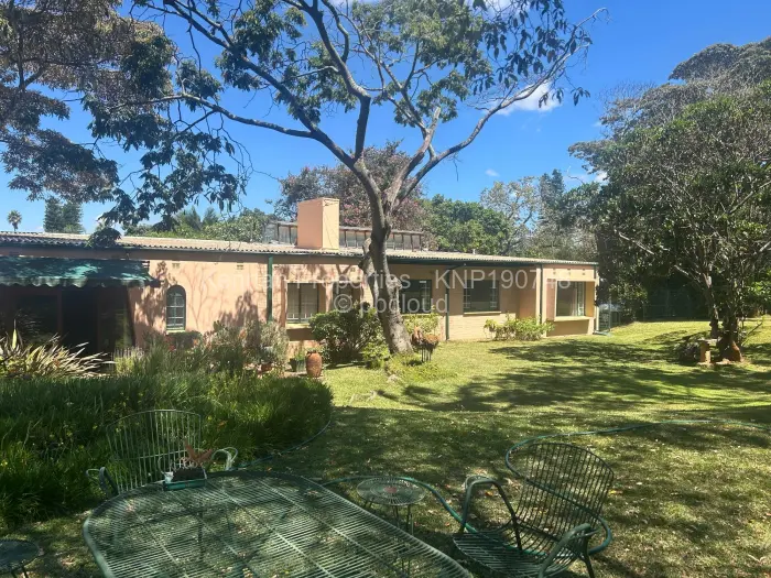5 Bedroom House to Rent in Avondale