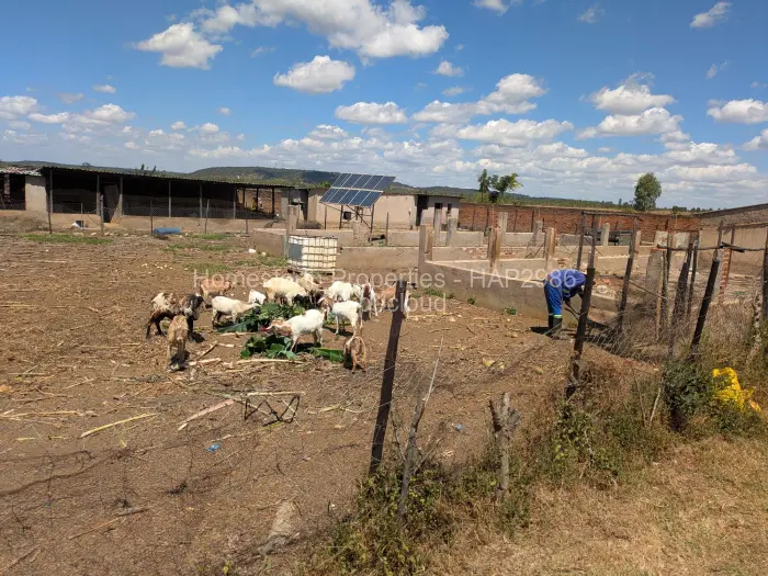 Farm/Plot for Sale in Norton, Norton