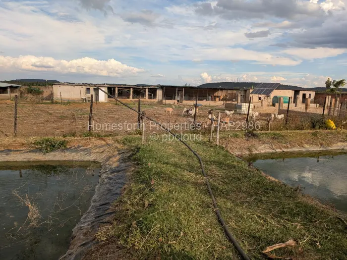 Farm/Plot for Sale in Norton, Norton