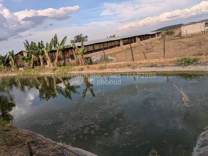 Farm/Plot for Sale in Norton, Norton