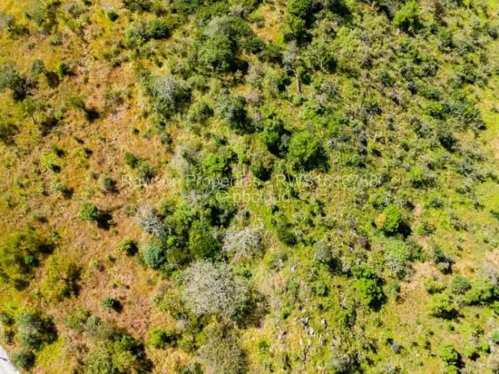 Commercial Stand for Sale in Masvingo, Masvingo