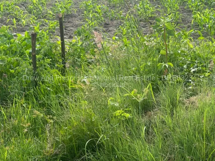 Residential Stand for Sale in Chadcombe, Harare