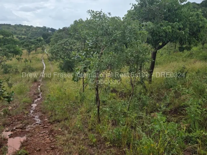 Residential Stand for Sale in Shawasha Hills, Harare