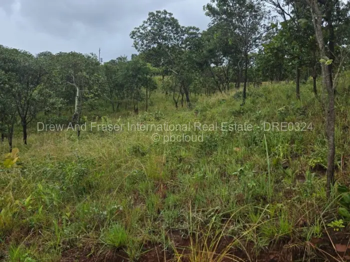 Residential Stand for Sale in Shawasha Hills, Harare