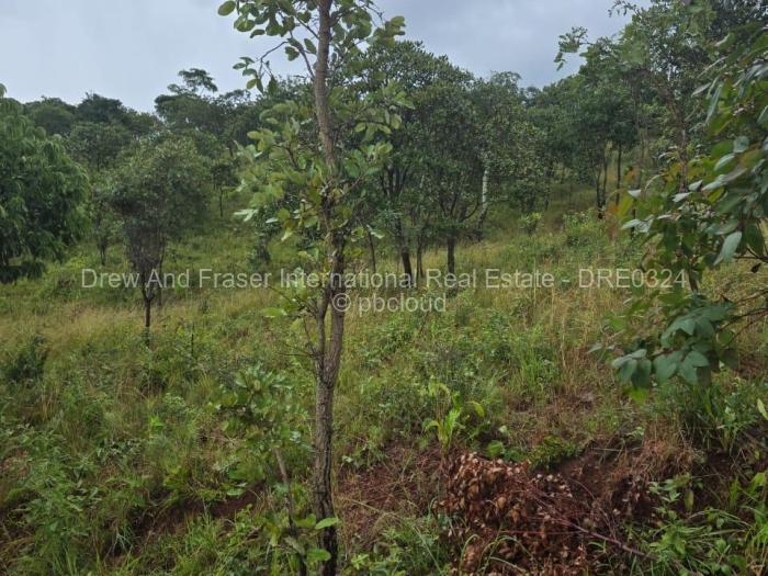 Residential Stand for Sale in Shawasha Hills, Harare