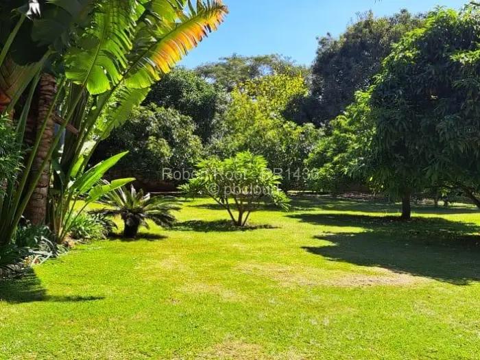 3 Bedroom House to Rent in Dandaro, Harare