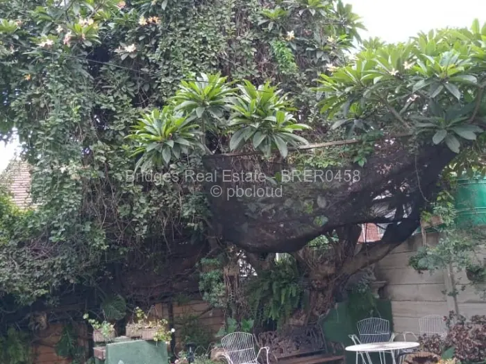 Flat/Apartment to Rent in Avondale