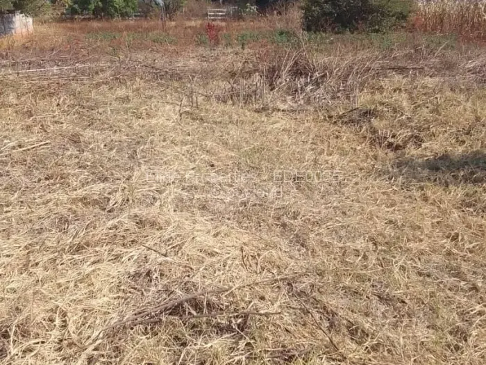 Residential Stand for Sale in Borrowdale, Harare