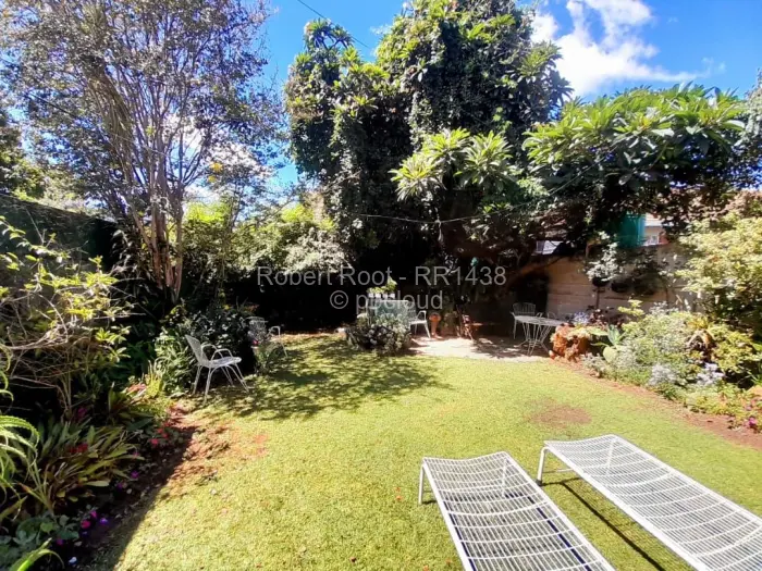 Flat/Apartment to Rent in Avondale