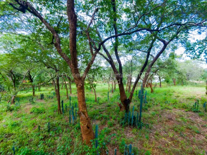 Residential Stand for Sale in Mornington, Kadoma