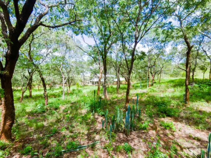 Residential Stand for Sale in Mornington, Kadoma