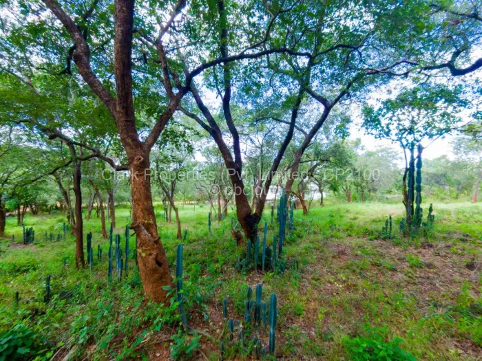Residential Stand for Sale in Mornington, Kadoma