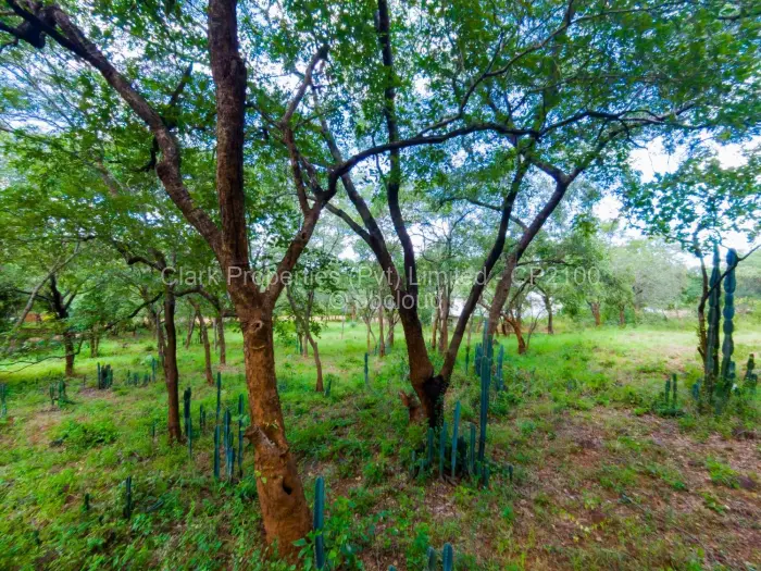 Residential Stand for Sale in Mornington, Kadoma