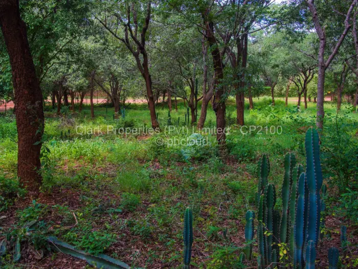 Residential Stand for Sale in Mornington, Kadoma