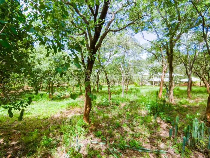 Residential Stand for Sale in Mornington, Kadoma