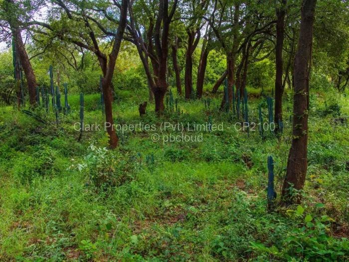 Residential Stand for Sale in Mornington, Kadoma