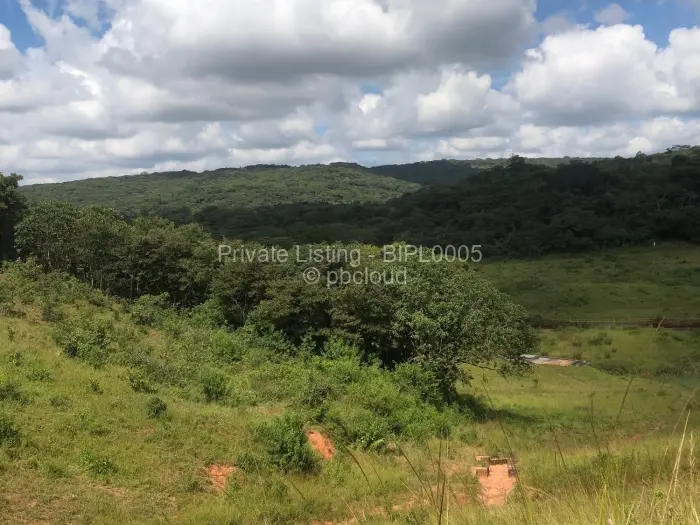 Residential Stand for Sale in Chipinge, Chipinge