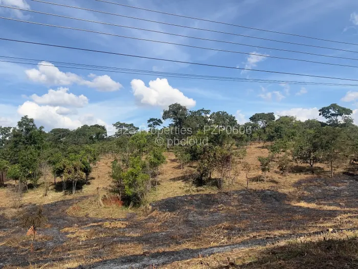 Residential Stand for Sale in Shawasha Hills, Harare