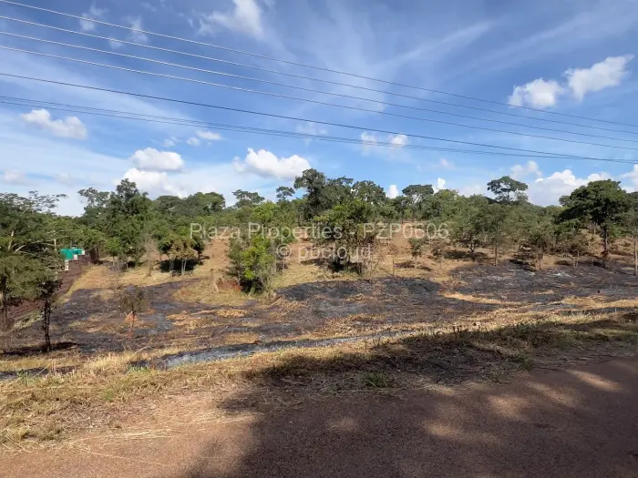 Residential Stand for Sale in Shawasha Hills, Harare