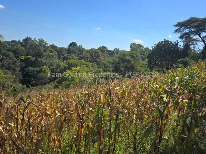 Residential Stand for Sale in Helensvale, Harare