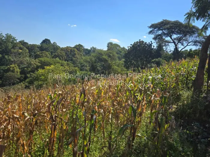 Residential Stand for Sale in Helensvale, Harare