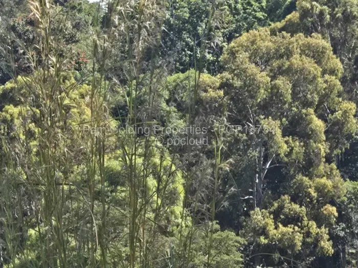 Residential Stand for Sale in Helensvale, Harare