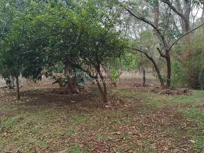 4 Bedroom House for Sale in Colne Valley, Harare