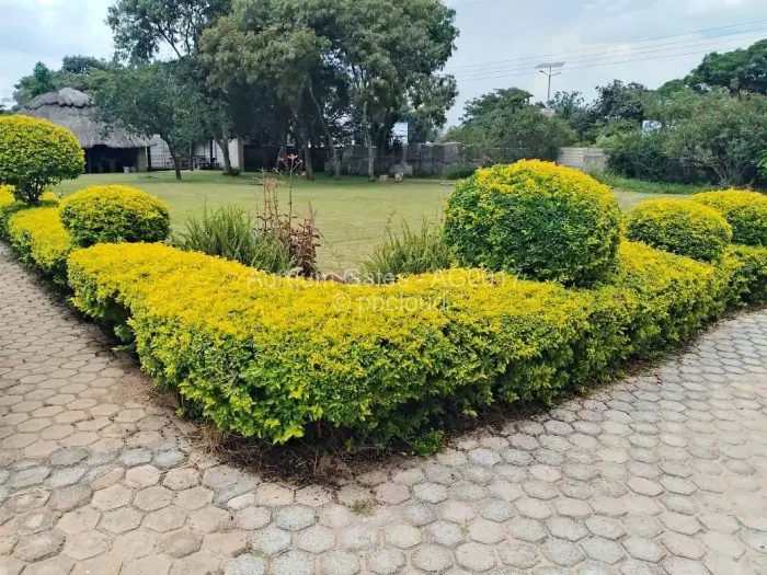 3 Bedroom House for Sale in Msasa, Harare