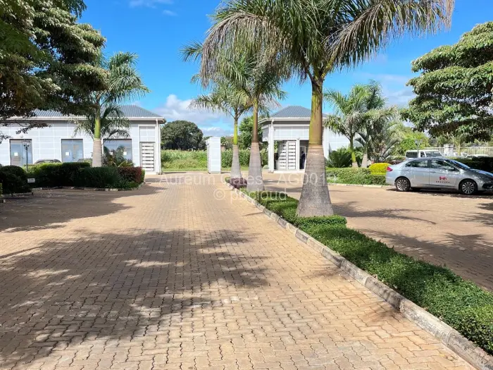 Office to Rent in Borrowdale, Harare