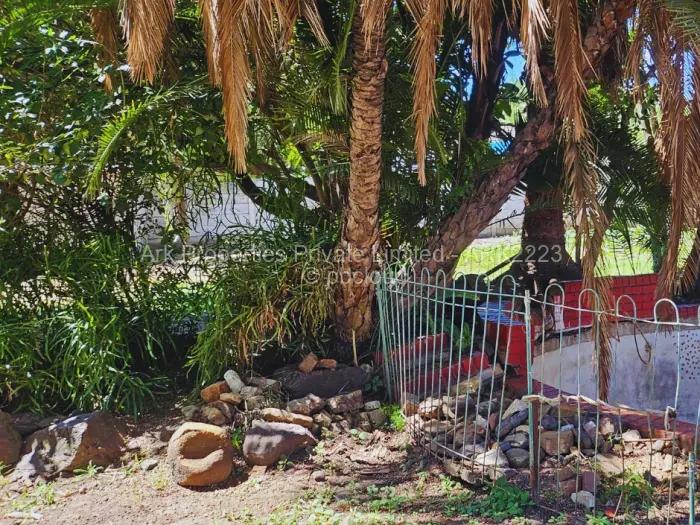 3 Bedroom House to Rent in Eastlea, Harare