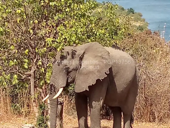 3 Bedroom House for Sale in Chirundu, Chirundu