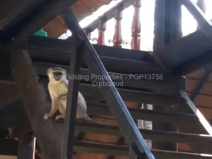 3 Bedroom House for Sale in Chirundu, Chirundu