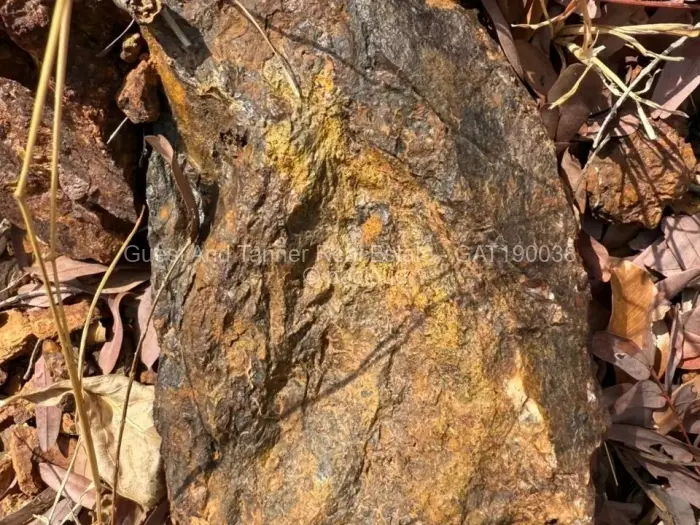 Industrial Stand for Sale in Mutoko, Mutoko