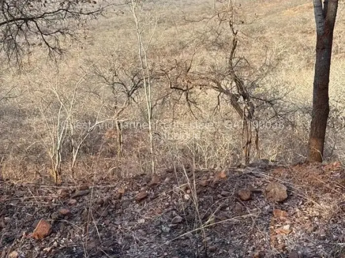 Industrial Stand for Sale in Mutoko, Mutoko