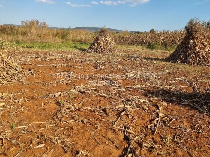 Residential Stand for Sale in Norton, Norton