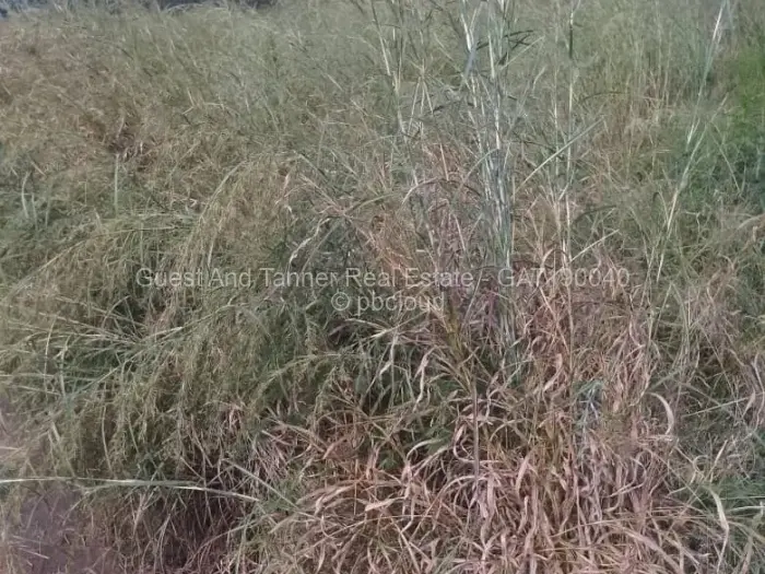 Residential Stand for Sale in Bindura, Bindura