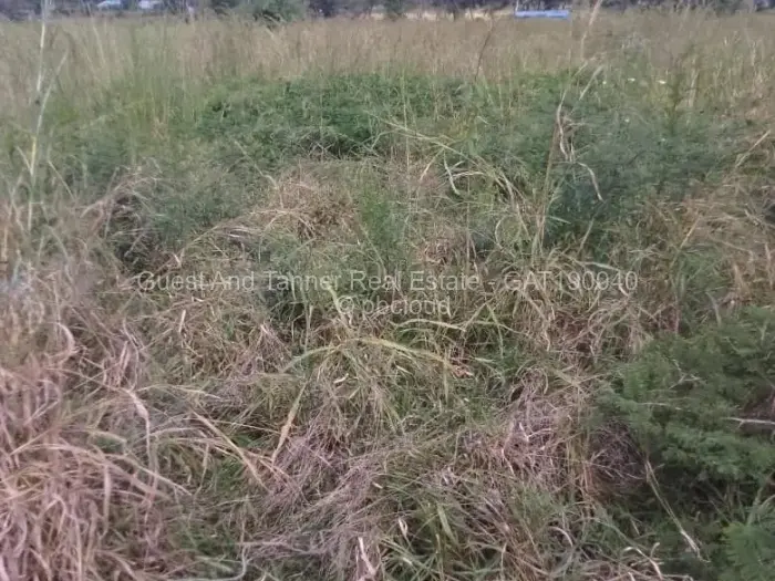 Residential Stand for Sale in Bindura