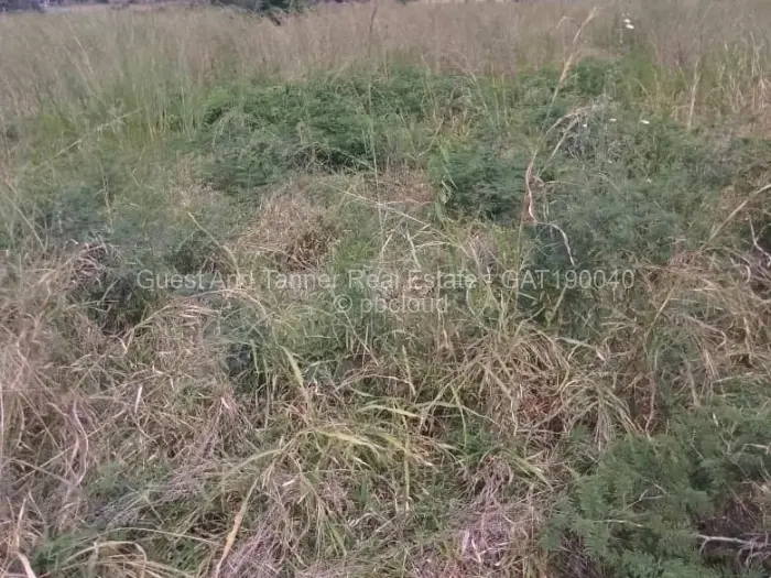 Residential Stand for Sale in Bindura, Bindura