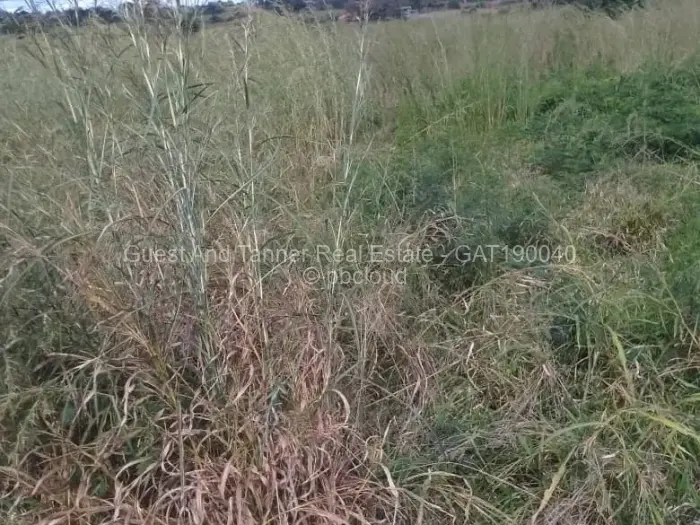 Residential Stand for Sale in Bindura, Bindura