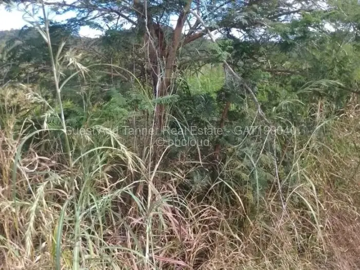 Residential Stand for Sale in Bindura, Bindura