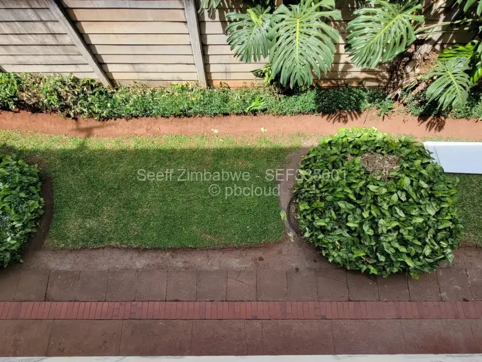 Flat/Apartment for Sale in Avenues, Harare