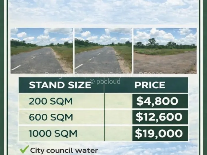 Residential Stand for Sale in Plumtree, Plumtree