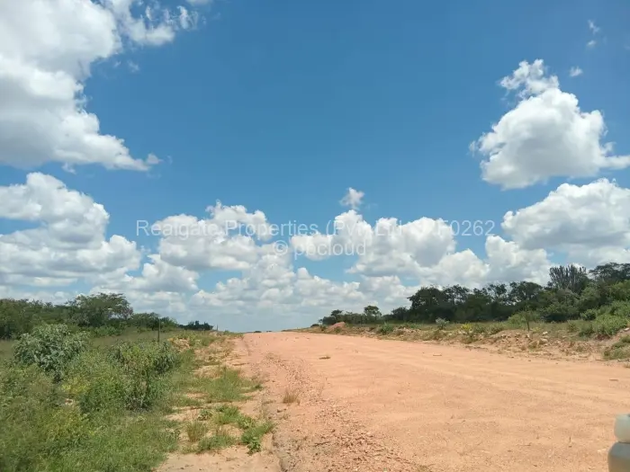 Residential Stand for Sale in Plumtree, Plumtree