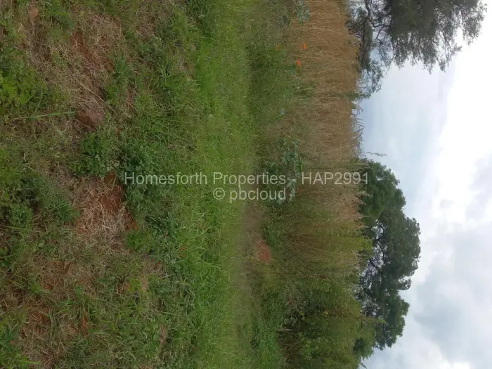 Residential Stand for Sale in Borrowdale Brooke, Harare