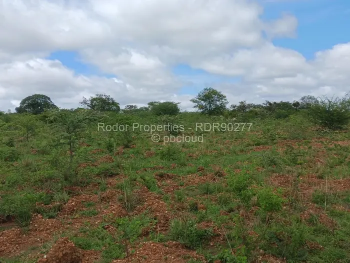 Residential Stand for Sale in Worringham, Bulawayo