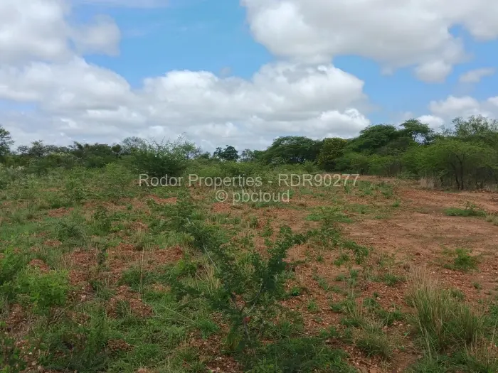 Residential Stand for Sale in Worringham, Bulawayo