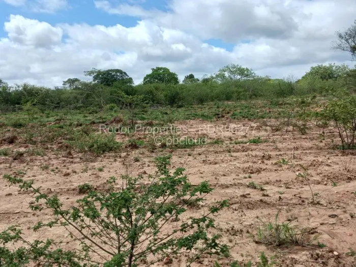 Residential Stand for Sale in Worringham, Bulawayo