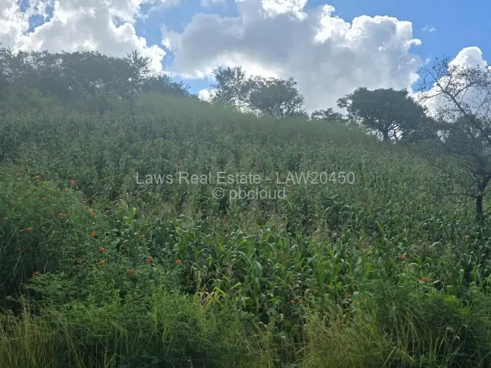 Residential Stand for Sale in Glen Lorne, Harare